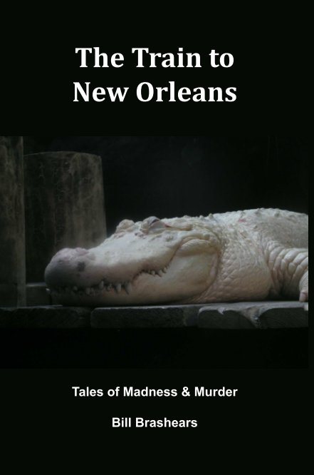 View The Train to New Orleans by Bill Brashears