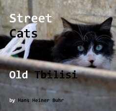 Street Cats Old Tbilisi book cover