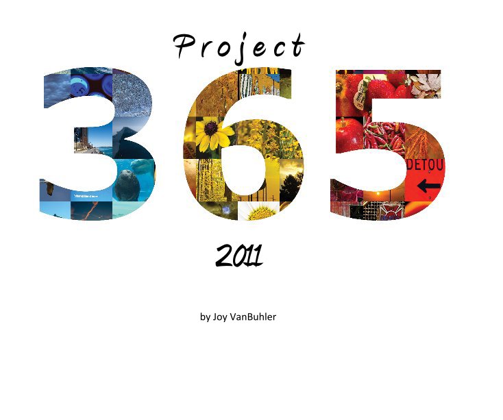 Ver Project 365 por Joy VanBuhler