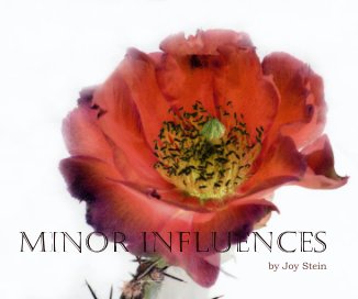 Minor Influences by Joy Stein book cover