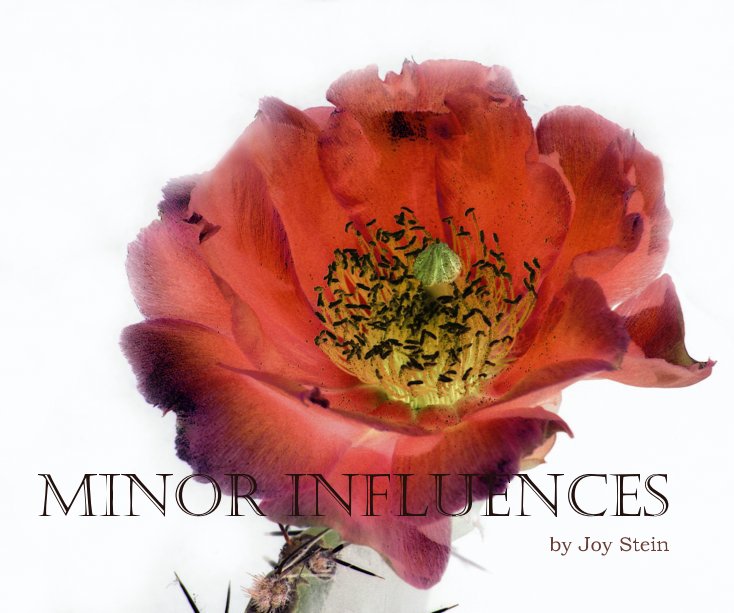 View Minor Influences by Joy Stein by JOY STEIN