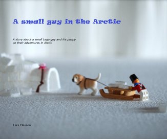 A small guy in the Arctic book cover