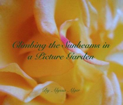 Climbing the Sunbeams in a Picture Garden book cover