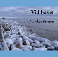 Vid havet

Jan-Åke Persson book cover