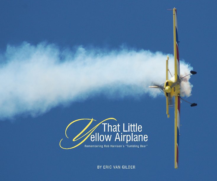 View That Little Yellow Airplane by Eric Van Gilder