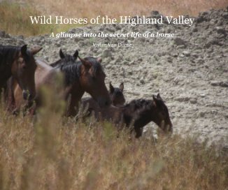 Wild Horses of the Highland Valley book cover