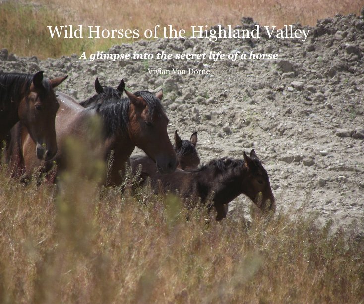 View Wild Horses of the Highland Valley by Vivian Van Dorne