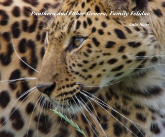 Panthera and Other Genera, Family Felidae book cover