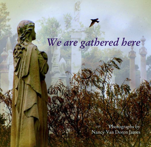 View We are gathered here by Photographs by
 Nancy Van Doren James