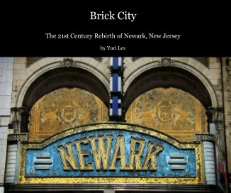 Brick City book cover