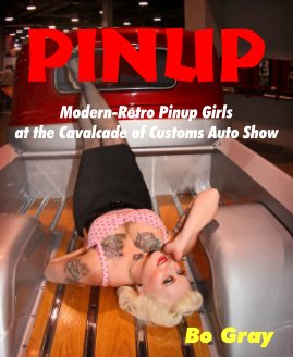 PINUP book cover