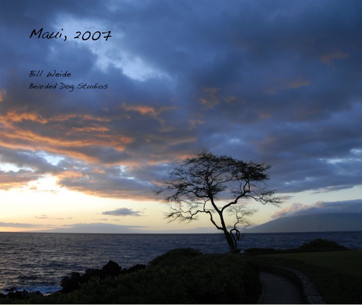 View Maui, 2007 by Bill Weide