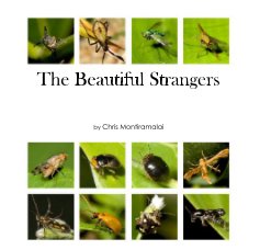 The Beautiful Strangers book cover