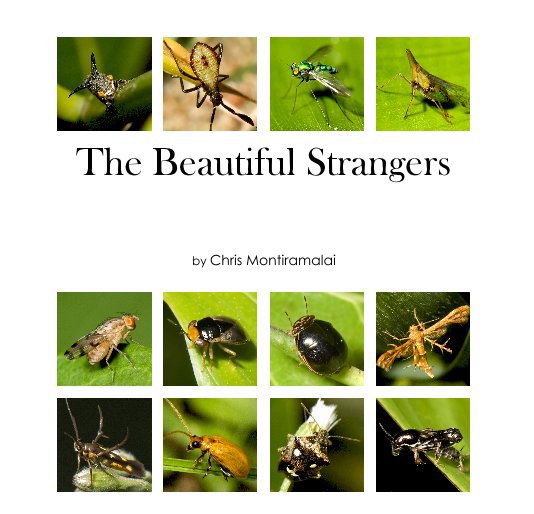 View The Beautiful Strangers by C. M.