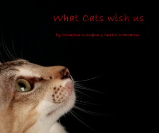 What Cats Wish Us book cover