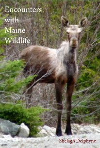 Encounters with Maine Wildlife book cover