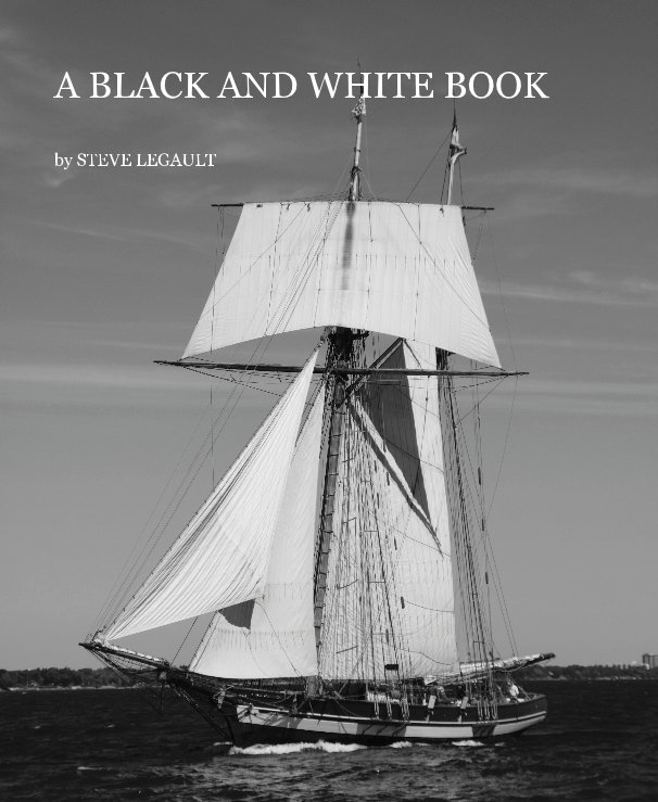 View A BLACK AND WHITE BOOK by STEVE LEGAULT