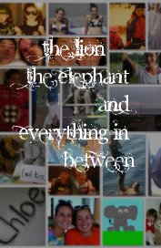 The Lion The Elephant and Everything In Between book cover