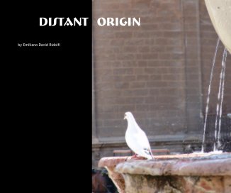 Distant Origin book cover