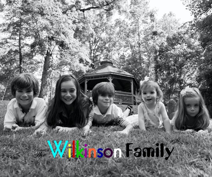 View The Wilkinson Family by Ben Finch