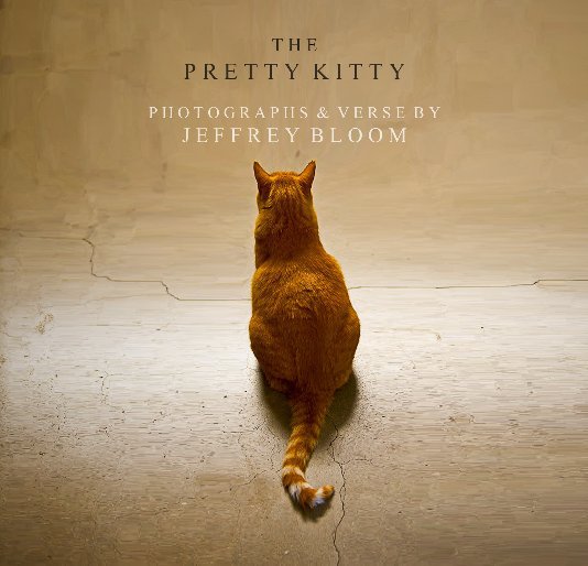 View The Pretty Kitty by Jeffrey Bloom
