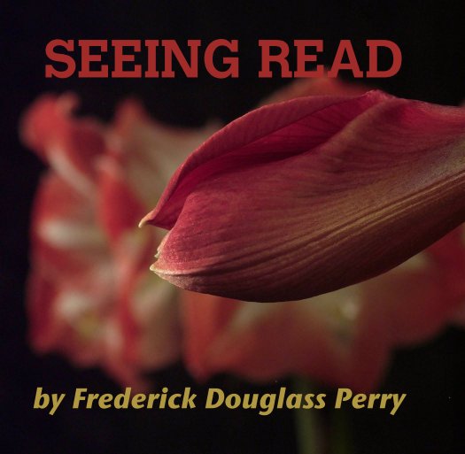 View SEEING READ by Frederick Douglass Perry