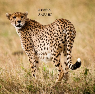 KENYA SAFARI book cover
