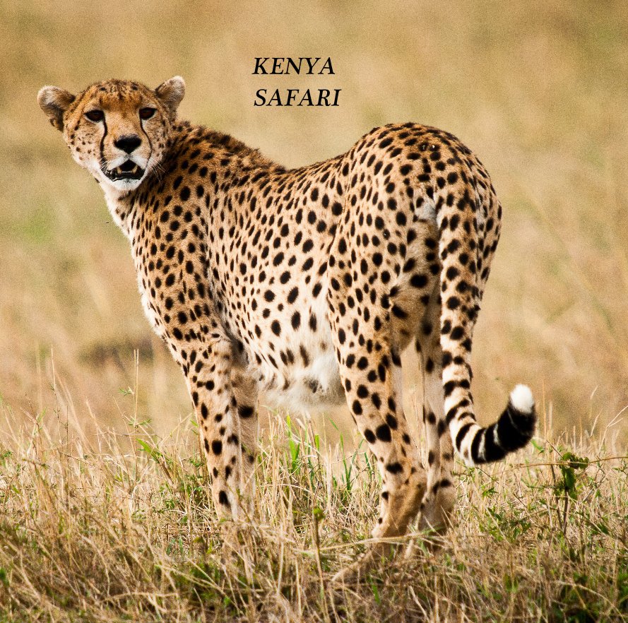 KENYA SAFARI nach CHRIS anzeigen