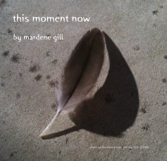 this moment now book cover