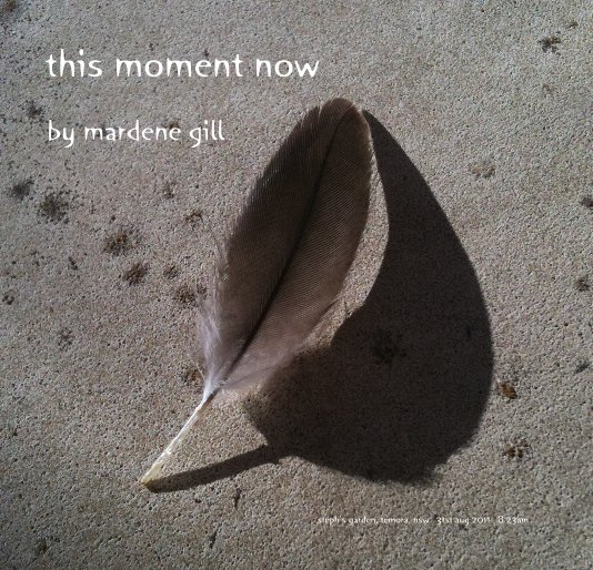 View this moment now by mardene gill