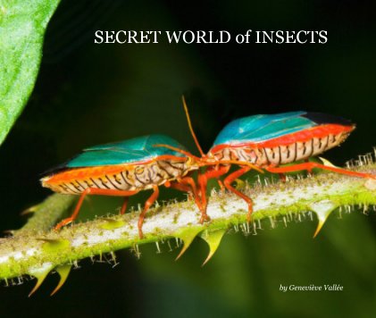 SECRET WORLD of INSECTS book cover