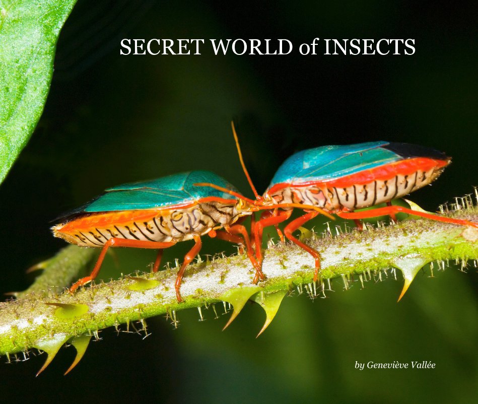 View SECRET WORLD of INSECTS by Geneviève Vallée