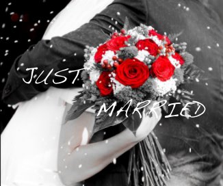 JUST MARRIED book cover