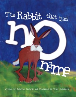 The Rabbit That Had No Name (softcover) book cover