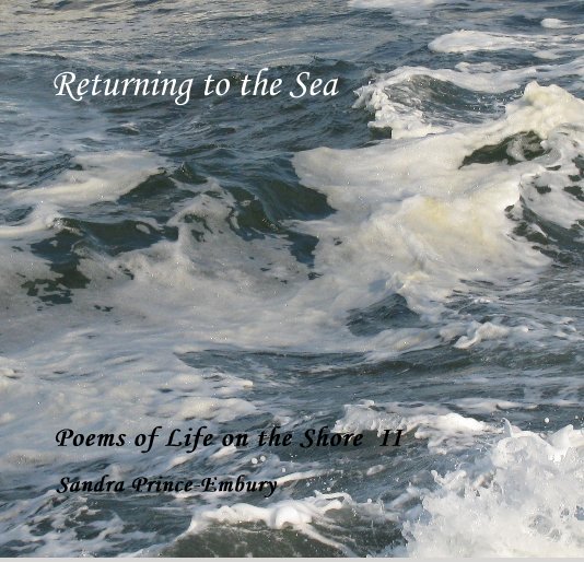 View Returning to the Sea by Sandra Prince-Embury