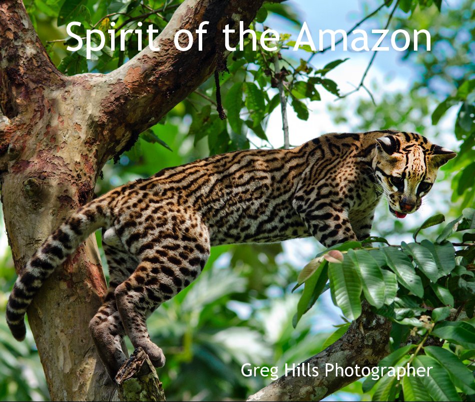 Ver Spirit of the Amazon por Greg Hills Photographer