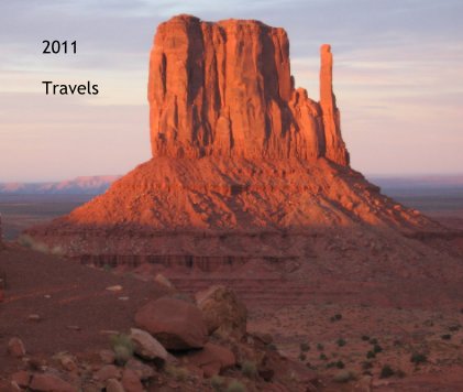 2011 Travels book cover