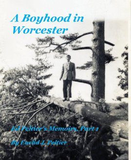 A Boyhood in Worcester book cover