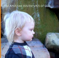 THE AMAZING ADVENTURES OF QQ1 book cover