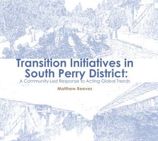 Transition Initiatives in South Perry District book cover