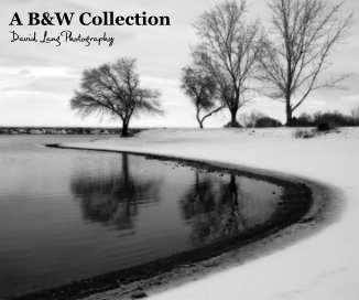 A B&W Collection David Lang Photography book cover