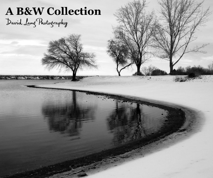 Bekijk A B&W Collection David Lang Photography op David Lang Photograpy