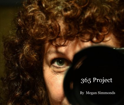 365 Project book cover