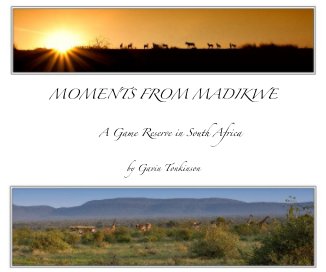 Moments From Madikwe book cover