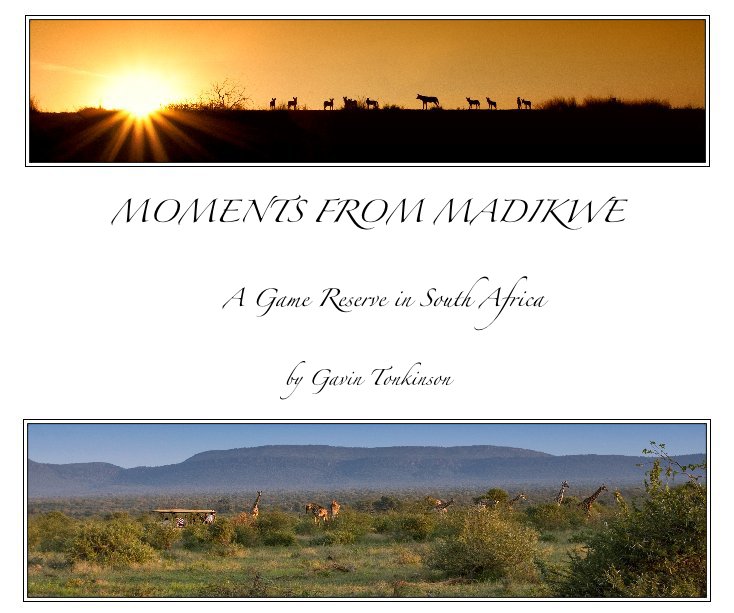 View Moments From Madikwe by Gavin Tonkinson
