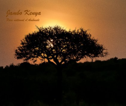 Jambo Kenya Parc national d'Amboseli book cover