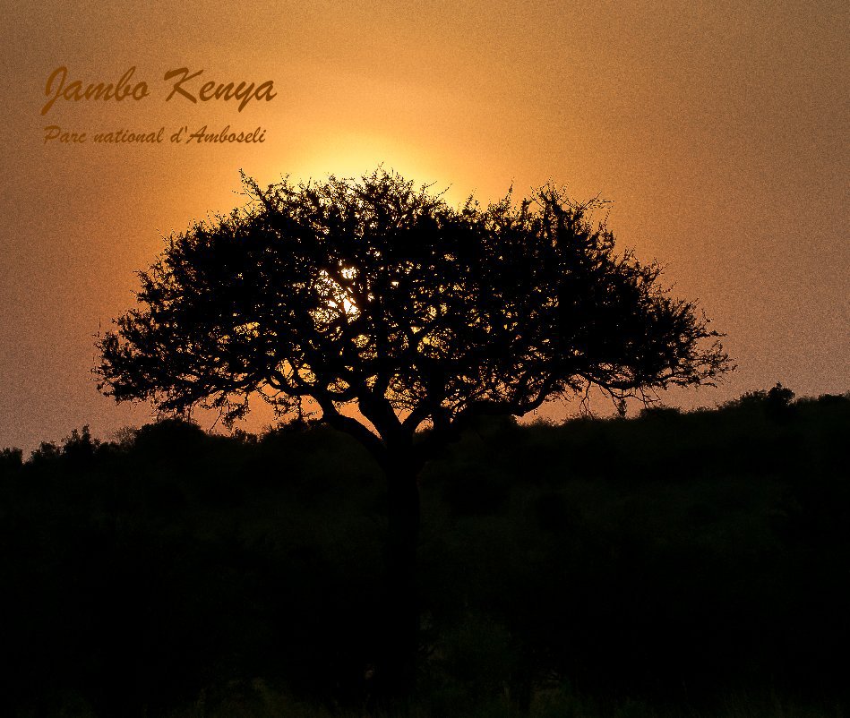 Ver Jambo Kenya Parc national d'Amboseli por Jacques Taillefer