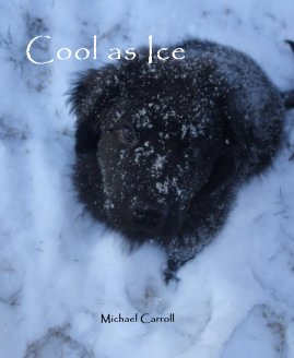 Cool as Ice book cover