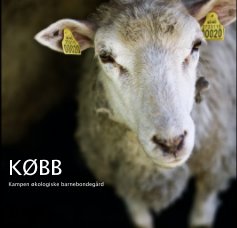 KØBB book cover