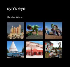 syn's eye book cover